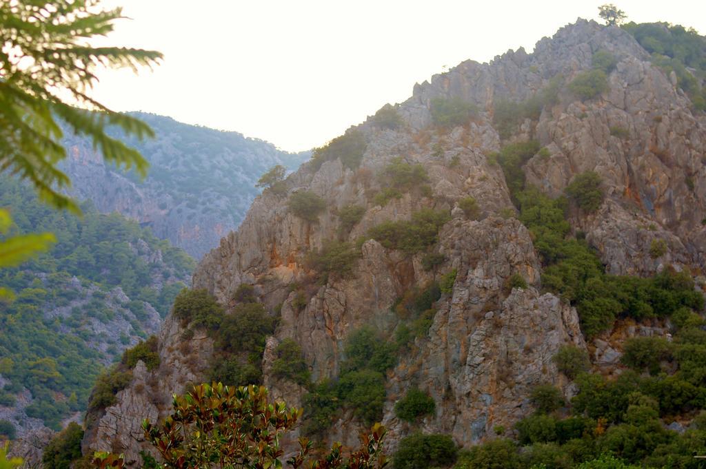 Safir Pansiyon Çıralı Exterior foto