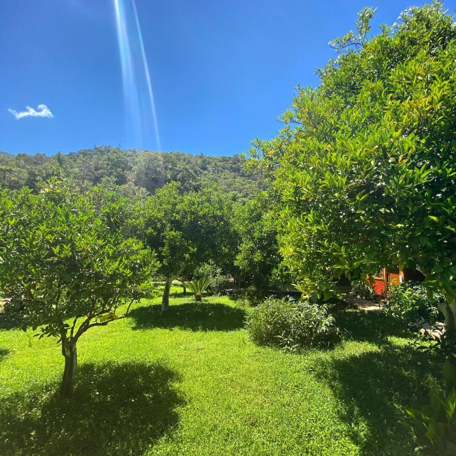 Safir Pansiyon Çıralı Exterior foto