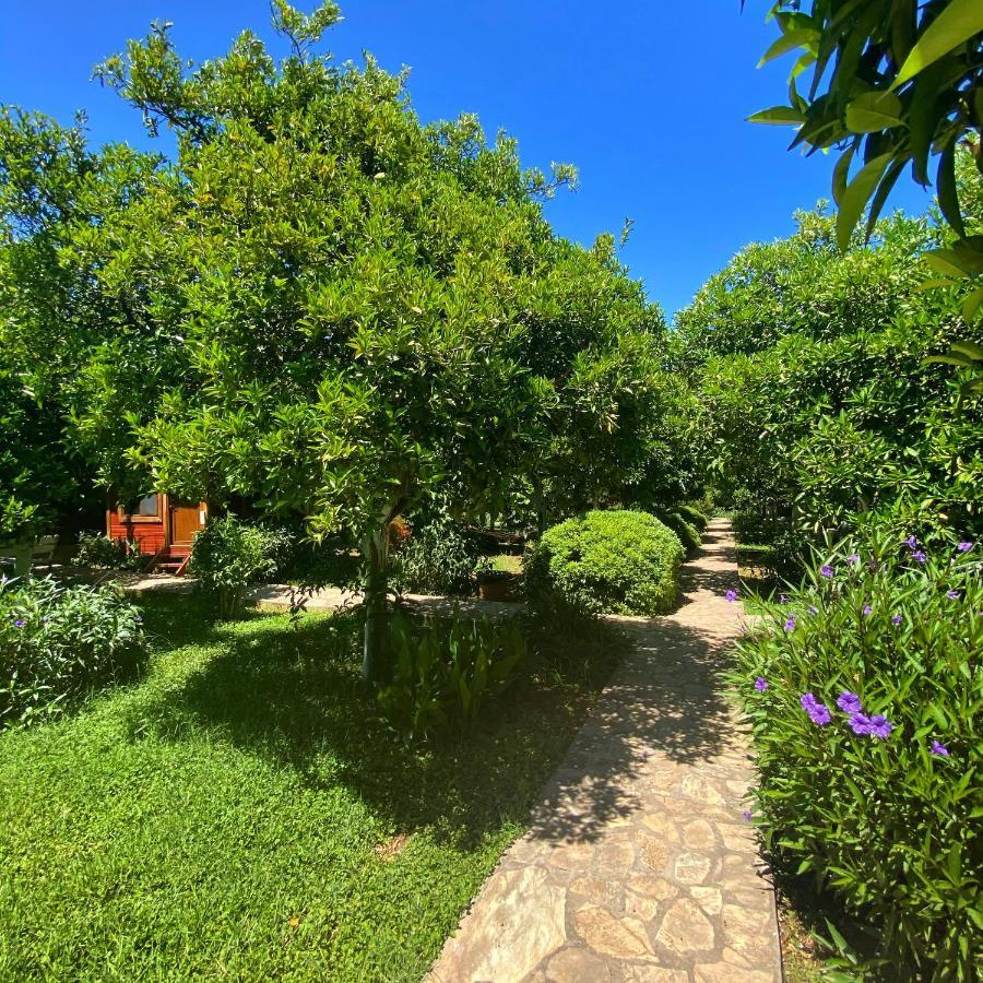 Safir Pansiyon Çıralı Exterior foto